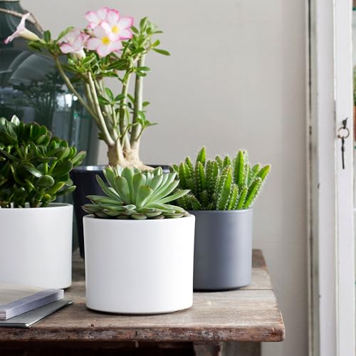 Annastore Keramik Blumen Übertopf ERA - Pflanztopf – Übertopf – Übertöpfe – Blumenübertöpfe - Blumentopf (Weiß, H 13 cm - Ø 15 cm) von Annastore