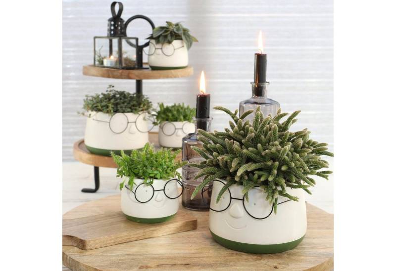 Annastore Übertopf Blumenübertöpfe in witzigem Design (Übertöpfe für Zimmerpflanzen), Blumentöpfe - Übertöpfe aus Keramik - Lustige Blumentöpfe von Annastore