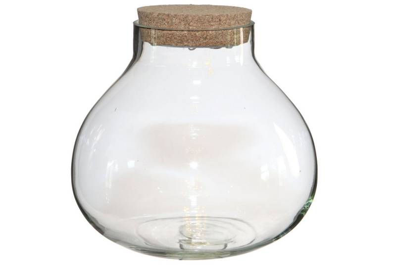 Annastore Übertopf Pflanz-Terrarium mit LED-Beleuchtung - Pflanzenglas - Flaschengarten, Pflanzenterrarium, Glas-Terrarium Annastore Übertopf Pflanz-Terrarium mit LED-Beleuchtung - Pflanzenglas - Flaschengarten, Pflanzenterrarium, Glas-Terrarium von Annastore