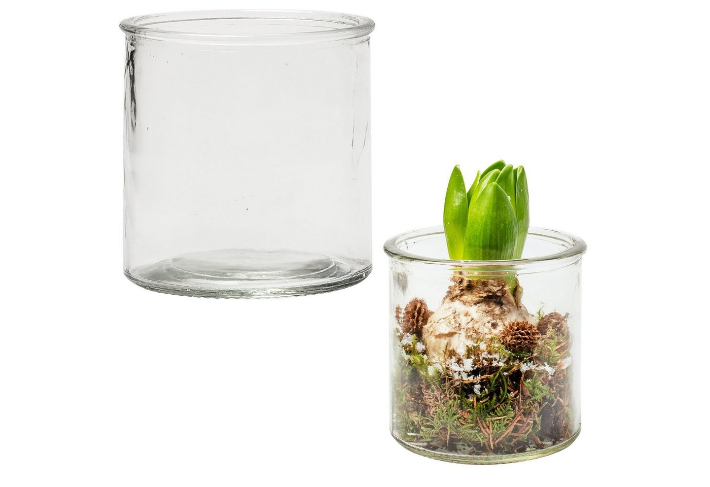 Annastore Windlicht 12 x Windlichter in klassischer Zylinderform - Zylinderglas (Teelichthalter, Kerzengläser, Glaszylinder, Pflanzglas), Runde Kerzengläser, Gläser für Kerzen Giessen Kerzenglas von Annastore