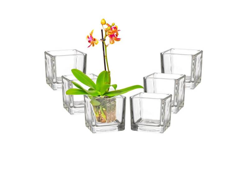 Annastore Windlicht 6 x Glaswürfel Windlicht Teelichthalter Kerzenglas Vase Glaswindlicht von Annastore