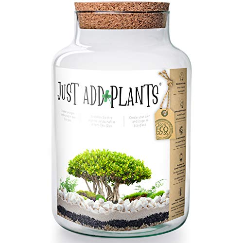 Annastore XXL Pflanzenterrarium inklusive allem - Nur noch Pflanze dazu -Terrarium - Fertig H 30 cm/H 18 / oder H 20- Pflanzterrarium Pflanzenglas - Flaschengarten (H 30 cm Ø 19 cm + Korken) von Annastore