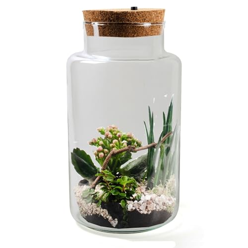 XXL Pflanzenterrarium mit/ohne LED inklusive allem - Nur noch Pflanze dazu -Terrarium - Pflanzterrarium Pflanzenglas - Flaschengarten Größe H 35 cm - Ø 19 cm mit LED-Korken von Annastore