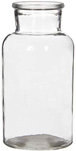 Glasflaschen EMMA, Vasen in verschiedenen Größen H 14/16,5/20 cm - Apothekerflaschen Arzneimittelflaschen Glasvasen Flaschen Menge 12 x, Größe H 16,5 cm/Ø 8 cm von Annastore