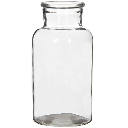 Glasflaschen Emma, Vasen in verschiedenen Größen H 14/16,5/20 cm - Apothekerflaschen Arzneimittelflaschen Glasvasen Flaschen Menge 6 x, Größe H 20 cm/Ø 10 cm von Annastore