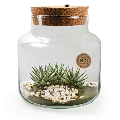 XXL Pflanzenterrarium mit/ohne LED inklusive allem - Nur noch Pflanze dazu -Terrarium - Pflanzterrarium Pflanzenglas - Flaschengarten Größe H 20 cm - Ø 19 cm mit LED-Korken von Annastore