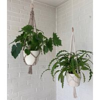 Makramee Blumenampel - Pflanzenaufhänger/Hängewindlicht von AnnasundPaulas