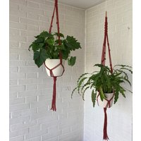 Makramee Blumenampel - Pflanzenaufhänger/Hängewindlicht von AnnasundPaulas