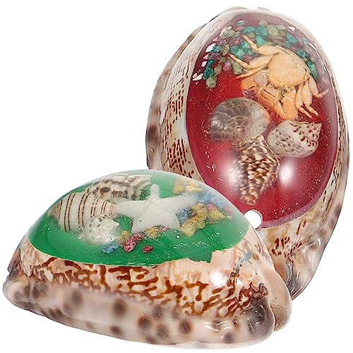Anneome 2 Stück Natürliche Deko für Aquarium und Bastelarbeiten Vielseitige Muschelverzierungen für Wohnaccessoires Tragbare Deko für Tisch und Zuhause Zufällige Farbe Zufällige Farbe Anneome 2 Stück Natürliche Deko für Aquarium und Bastelarbeiten Vielseitige Muschelverzierungen für Wohnaccessoires Tragbare Deko für Tisch und Zuhause Zufällige Farbe Zufällige Farbe von Anneome