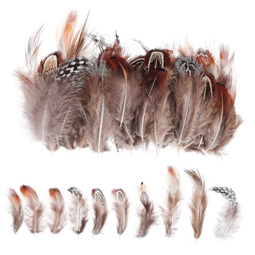 Anneome 300stücke Braunes Gefieder Für Natürliche Huhn Plumes Zum Selbermachen Federn Zum Basteln Für Kleidung Und Hochzeitsdekor Reichlich Menge Für DIY Dekorative Federn von Anneome