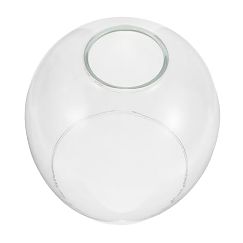 Anneome Glaslampenschirm Ersatz Handgeblasenes Hochborosilikat Bernsteinfarbenes Lampenglas Für Wandleuchten Pendelleuchten Deckenleuchten Sanfte Lichtstreuung Anneome Glaslampenschirm Ersatz Handgeblasenes Hochborosilikat Bernsteinfarbenes Lampenglas Für Wandleuchten Pendelleuchten Deckenleuchten Sanfte Lichtstreuung von Anneome