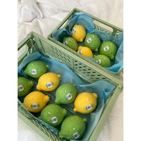 Lemon Candle | Zitrone Gelb Limette Grün Mit Und Ohne Duft Lemon Candle | Zitrone Gelb Limette Grün Mit Und Ohne Duft von AnnieCandlesCo
