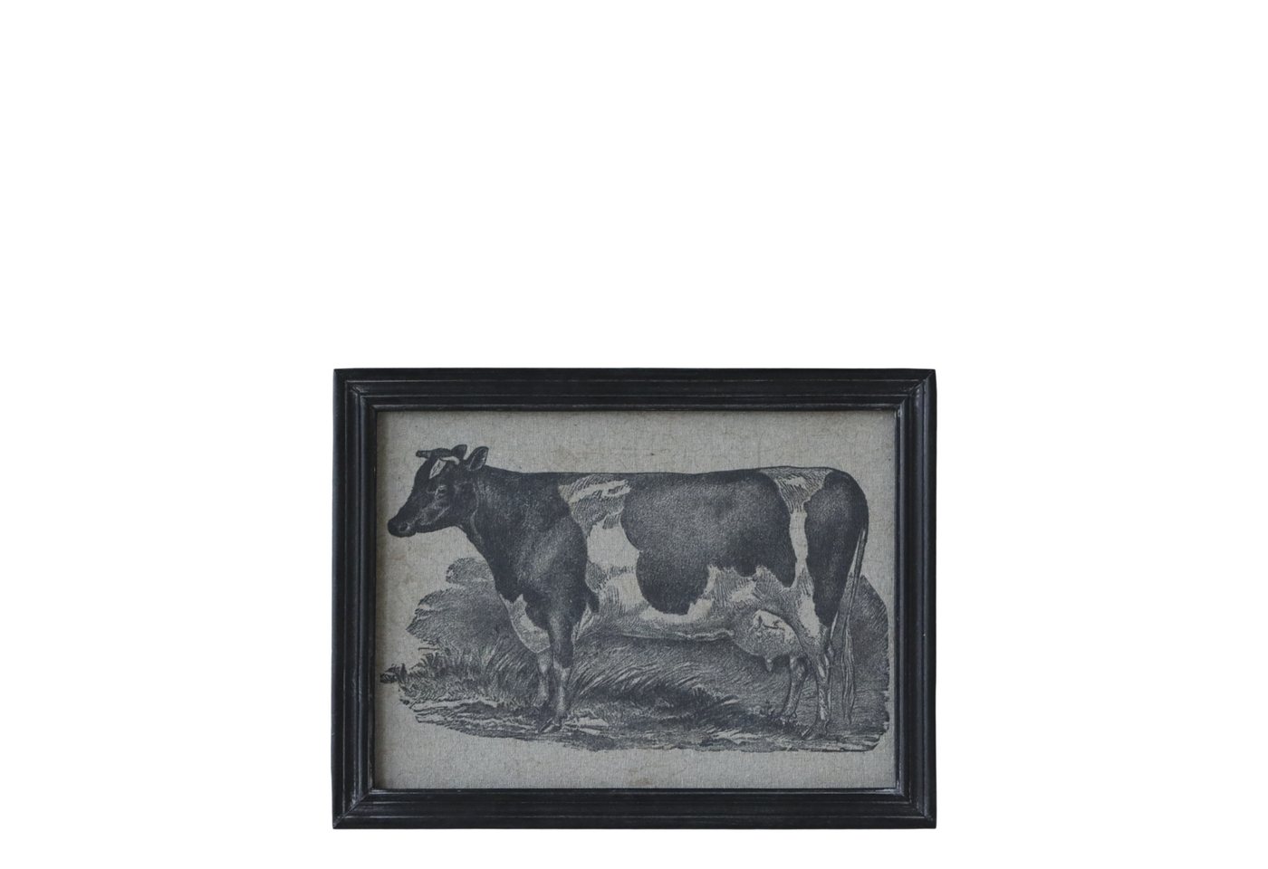 Annimuck Bild Chic Antique Bild mit Kuh Vintage H33/L43/B1,5 cm schwarz, (1 St) von Annimuck