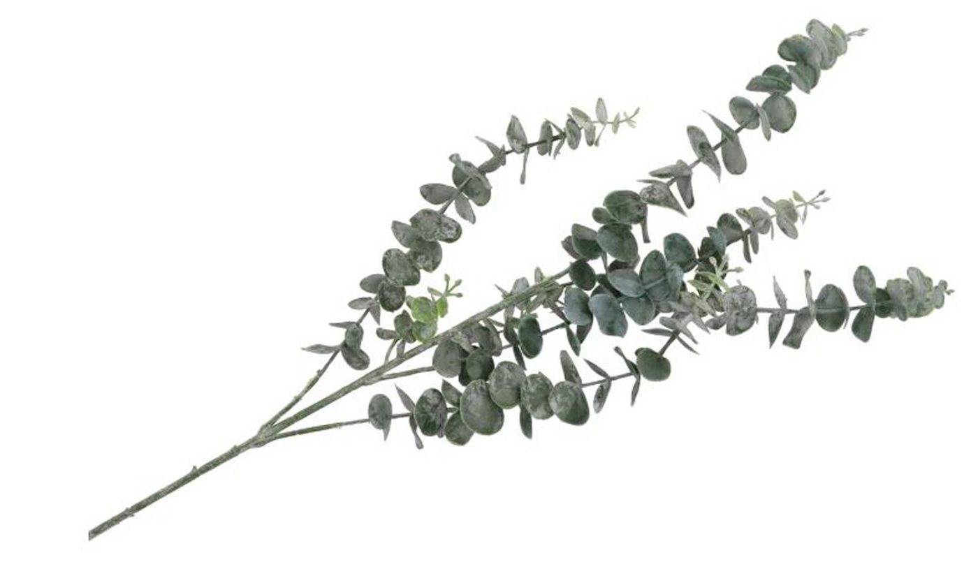 Kunstblume Dekozweig Kunstblume Eukalyptus graugrün L88 cm verzweigt, Annimuck Kunstblume Dekozweig Kunstblume Eukalyptus graugrün L88 cm verzweigt, Annimuck von Annimuck