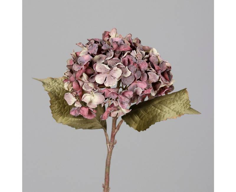 Kunstblume Wunderschöne Kunst Hortensie Dried Trockenoptik L45 cm weinrot mauve, Annimuck von Annimuck