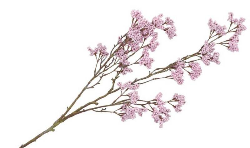 Kunstblume Wunderschöner Beerenzweig Beeren flieder Kunstblume 108 cm, Annimuck von Annimuck
