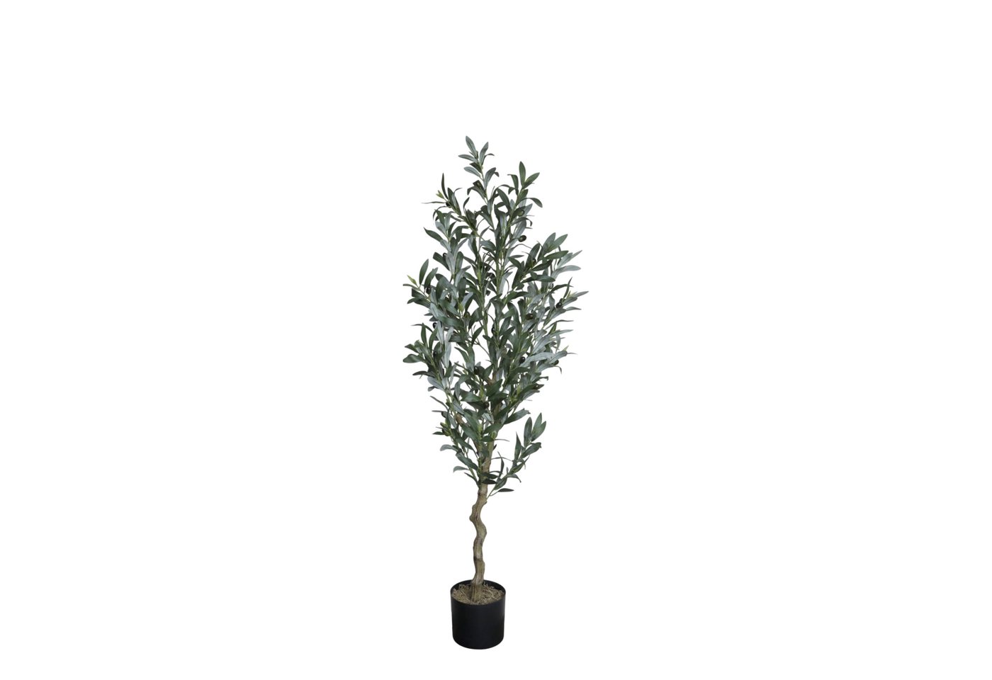 Kunstpflanze Chic Antique Fleur Olivenbaum H132/D15 cm grün Kunstpflanze, Annimuck Kunstpflanze Chic Antique Fleur Olivenbaum H132/D15 cm grün Kunstpflanze, Annimuck von Annimuck