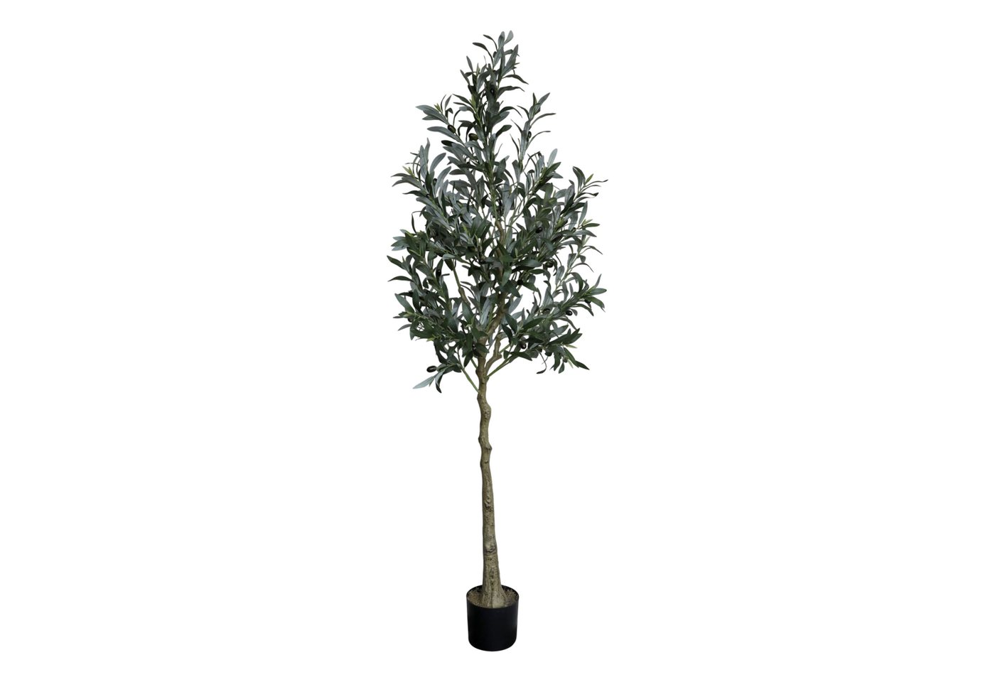 Kunstpflanze Chic Antique Fleur Olivenbaum H170/D15 cm grün Kunstpflanze, Annimuck Kunstpflanze Chic Antique Fleur Olivenbaum H170/D15 cm grün Kunstpflanze, Annimuck von Annimuck
