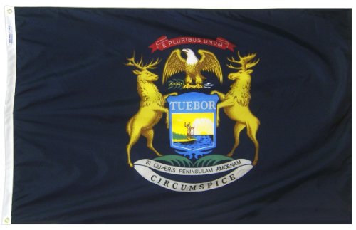 Annin Michigan State Flagge, merhfarbig, 3 by 5 Foot von Annin Flagmakers