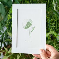 Monstera Albo, Foliendruck Zimmerpflanze von AnotherStudio