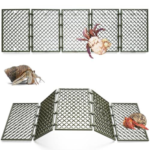 Einsiedlerkrebskrabben-Kletterspielzeug, 5 Stück, DIY-Mesh-Einsiedlerkrebsleiter, Einsiedlerkrebse, Dekoration, Zubehör, Spielzeug, Ornamente Einsiedlerkrebskrabben-Kletterspielzeug, 5 Stück, DIY-Mesh-Einsiedlerkrebsleiter, Einsiedlerkrebse, Dekoration, Zubehör, Spielzeug, Ornamente von Anranmm