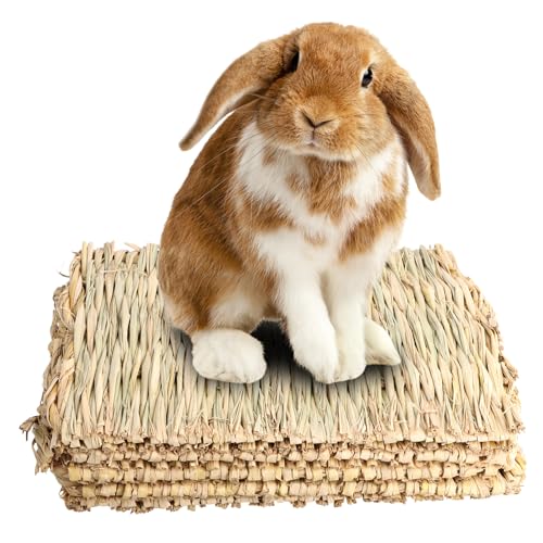 Anseom 5 Stück Kaninchen-Bett Grasmatte und Hasenbett für Kaninchen Häschengras Matte Natürliches Gras Gewebte Matte Kleintier Grasmatten für Papageien Hamster Meerschweinchen und Kleintiere von Anseom