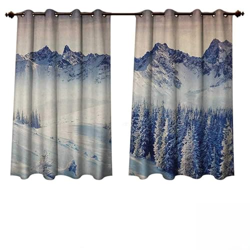 Anshesix Nature Outdoor Ultraviolet Protective Curtains Snowy Winter Dramatic Overcast Sky Wonderland Snowfall Seasonal Panorama Print W63 x L63(160cm x 160cm) von Anshesix