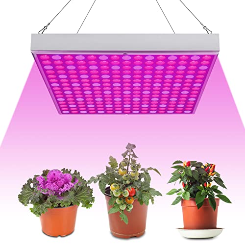 Ansobea 15W LED Pflanzenlampe, Quadrat Vollspektrum Grow Lampe mit 225 LEDs (Pflanzenlicht), Ideal für Indoor-Pflanzen, Gemüse, Blumen, Aussaat, Grow Tent & Gewächshaus von Ansobea