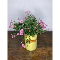 Emaille Milchkanne, Alte Milchkanne, Antike Milchkanne, Valentinstag Geschenk von AntikZeitlosSchoen