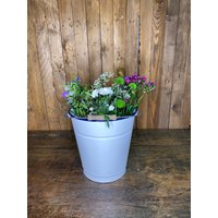 Valentinstaggeschenk Emaille Eimer , Kübel Wassereimer Alter Pflanztopf Valentinstaggeschenk Emaille Eimer , Kübel Wassereimer Alter Pflanztopf von AntikZeitlosSchoen