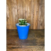 Valentinstaggeschenkemaille Eimer , Kübel Wassereimer Alter Pflanztopf Valentinstaggeschenkemaille Eimer , Kübel Wassereimer Alter Pflanztopf von AntikZeitlosSchoen