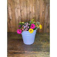 Valentinstaggeschenkemaille Eimer , Kübel Wassereimer Alter Pflanztopf Valentinstaggeschenkemaille Eimer , Kübel Wassereimer Alter Pflanztopf von AntikZeitlosSchoen