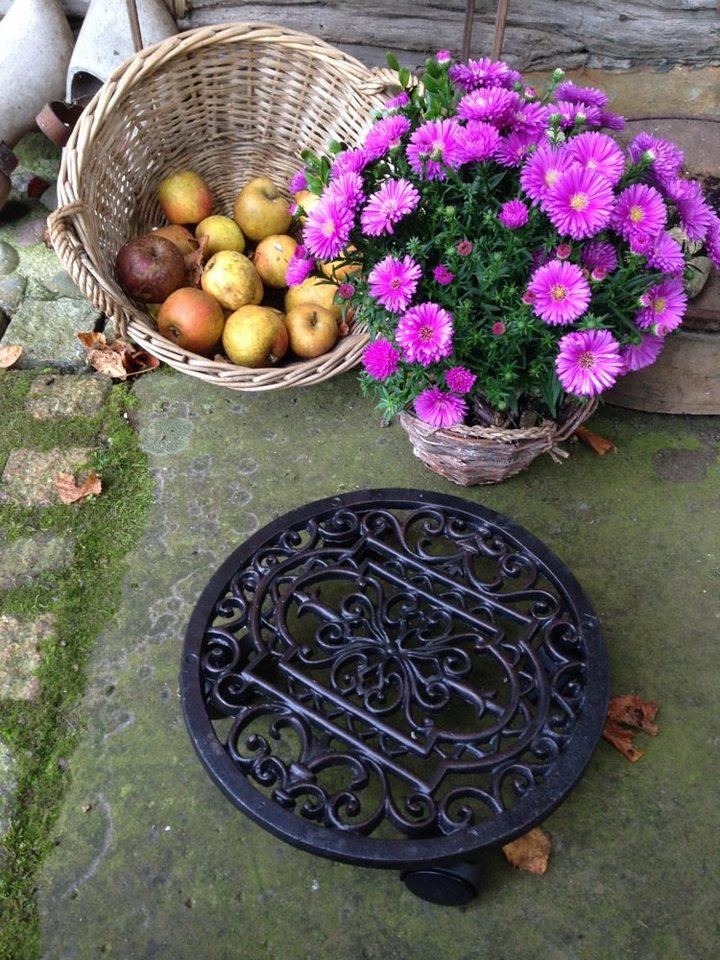 Antikas Blumentopf Blumen-Untersetzer als Rollbrett f Blumentöpfe, stabiler von Antikas