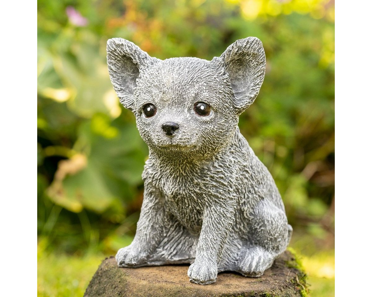 Antikas Gartenfigur Chi Hua Hua klein, Steinguss, grau, H 15,5cm x T 8,5cm Antikas Gartenfigur Chi Hua Hua klein, Steinguss, grau, H 15,5cm x T 8,5cm von Antikas