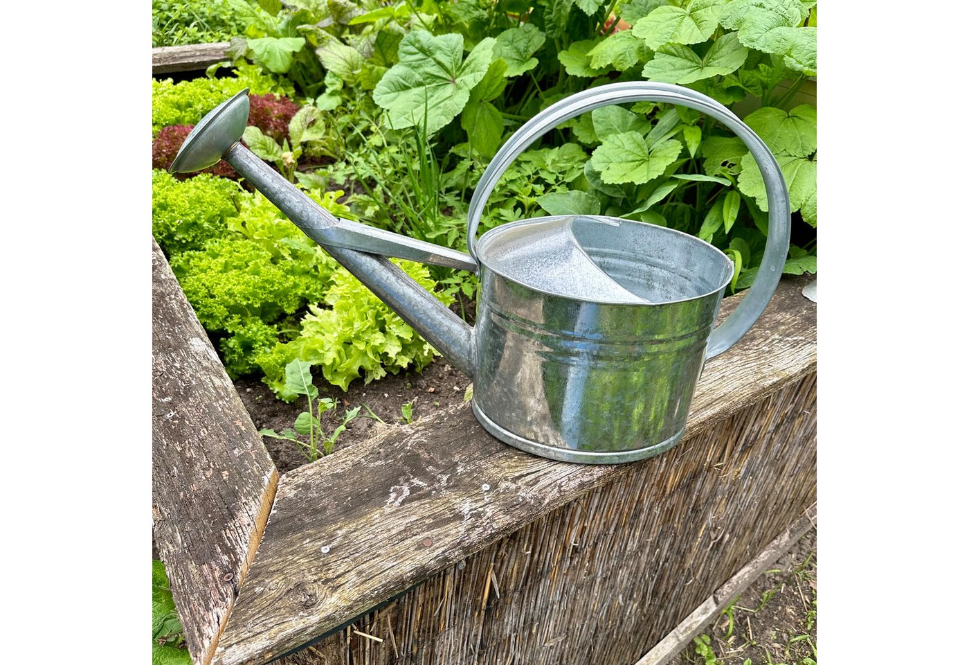 Antikas Gartenpflege-Set Gießkanne aus Altzink, M, Silber, Deko-Kanne von Antikas