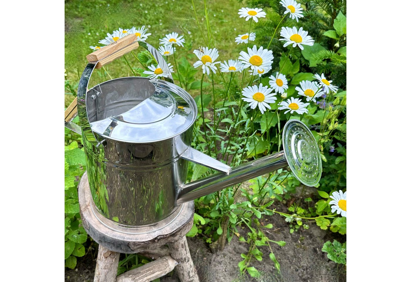 Antikas Gartenpflege-Set Gießkanne aus Aluminium, Silber, Deko-Kanne, Blumenbeet von Antikas