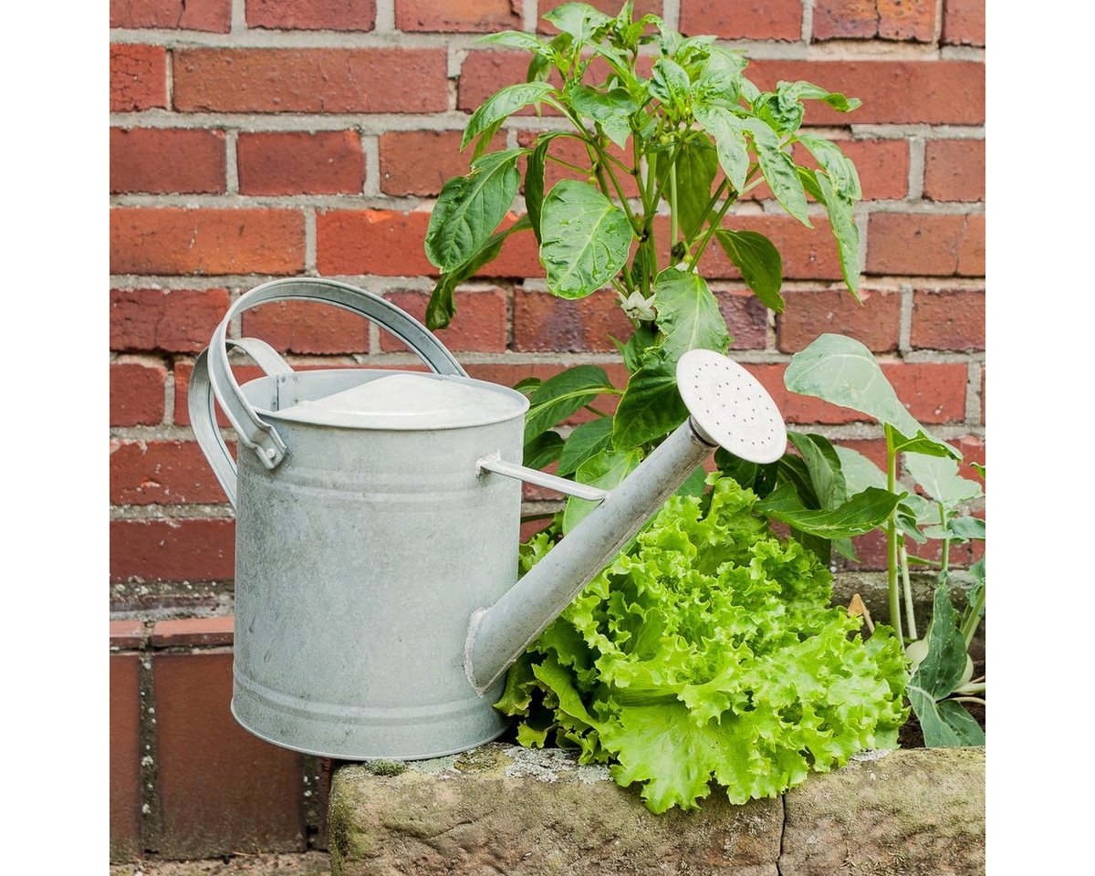 Antikas Gartenpflege-Set Gießkanne aus Zink für den Garten, Blumen-Gießkanne, Zinkkanne, 3,6 von Antikas