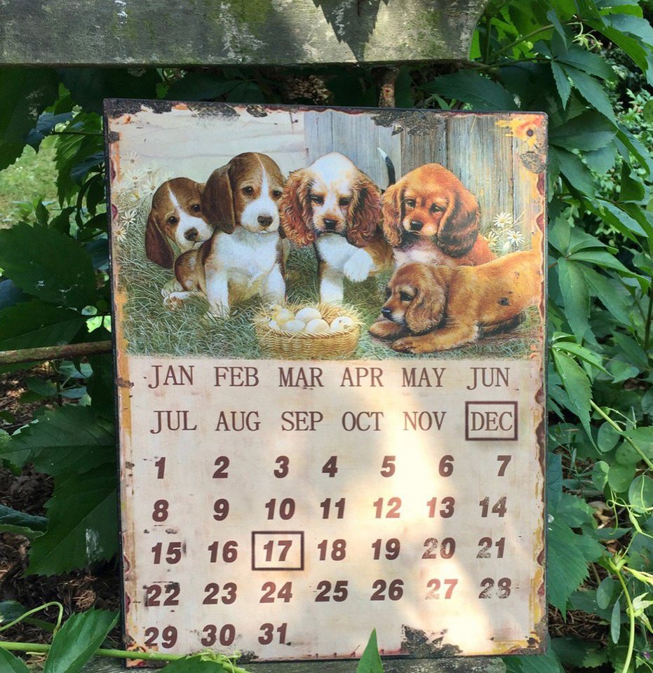 Antikas Wanddekoobjekt Blechschild Vintage Kalender Metall Küchenkalender - niedliche Hunde von Antikas