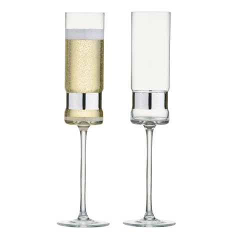 Anton Studio Designs SoHo Handgefertigte Champagnerflöten Perfektes Partygeschirr für Hochzeiten und Feiern - 200 ml - Silber - Set mit 2 eleganten Champagnergläsern Anton Studio Designs SoHo Handgefertigte Champagnerflöten Perfektes Partygeschirr für Hochzeiten und Feiern - 200 ml - Silber - Set mit 2 eleganten Champagnergläsern von Anton Studio Designs
