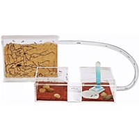 Ameisenfarm Mini Kit | Ameisen Mit Königin Free Ameisenfarm Mini Kit | Ameisen Mit Königin Free von AntsHobby