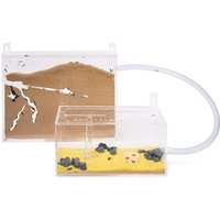 Ameisenfarm Zauberstab Kit Big | Ameisen Mit Königin Free von AntsHobby
