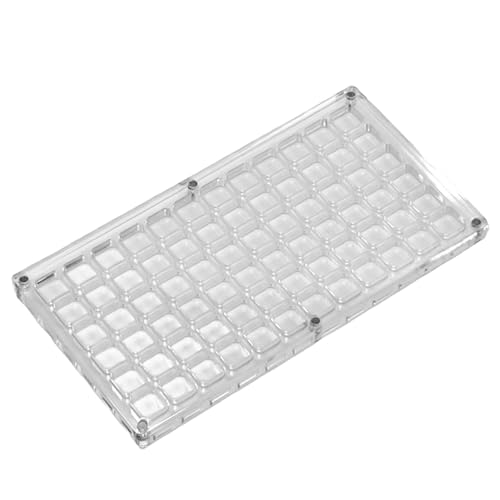 Acryl-Muschel-Displaybox, Muschel-Display-Behälter, Muschel-Aufbewahrungsbox, Vitrine, Muschelbehälter für Display, Muschel-Aufbewahrungsbox Acryl-Muschel-Displaybox, Muschel-Display-Behälter, Muschel-Aufbewahrungsbox, Vitrine, Muschelbehälter für Display, Muschel-Aufbewahrungsbox von Anulely
