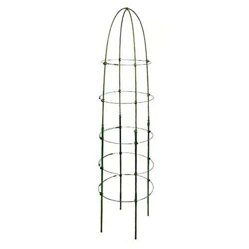 Garten Obelisk | Outdoor Garten Obelisk Rankgitter | Outdoor Busch Rund Rankgitter Verstärkt Hoch Pflanzenstützspalier Rostfrei Metall Pflanzenspalier für Topfpflanzen von Anulely