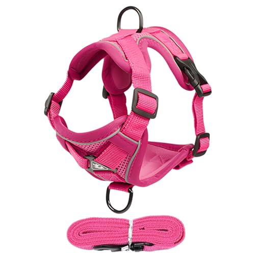 Geschirr für Katze, Kätzchen-Spaziergang Geschirr und Leine, einfache Kontrolle, Anti-Escape-Katzengeschirr, reflektierendes Katzengeschirr und Leine für Spaziergänge im Freien von Anulely