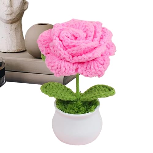 Anulely Häkelblumentopf – gehäkelte Topfpflanzen, gestrickte Blumen – niedliche gehäkelte Auto-Dekoration, Blumen-Schreibtisch-Dekorationen, Geschenk für Frauen, Mutter, Ehefrau Anulely Häkelblumentopf – gehäkelte Topfpflanzen, gestrickte Blumen – niedliche gehäkelte Auto-Dekoration, Blumen-Schreibtisch-Dekorationen, Geschenk für Frauen, Mutter, Ehefrau von Anulely