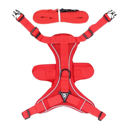 Katzengeschirr Ausbruchsicher - Joggingleine für Katzen - Katzengeschirr und Leine zum Spazierengehen, Ausbruchsicher Verstellbare Kätzchenweste Geschirre Katzengeschirr Ausbruchsicher - Joggingleine für Katzen - Katzengeschirr und Leine zum Spazierengehen, Ausbruchsicher Verstellbare Kätzchenweste Geschirre von Anulely