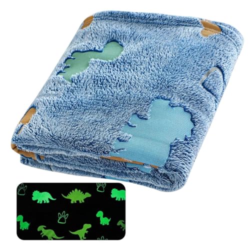 Anulely Leuchtdecke | Flanelldecke mit süßem Dinosaurier-Motiv, weiche Decken für Kinder, doppelseitiges Design, warme Fleecedecke, Ganzjahres-Bettdecke für Mädchen, Bett, Sofa von Anulely