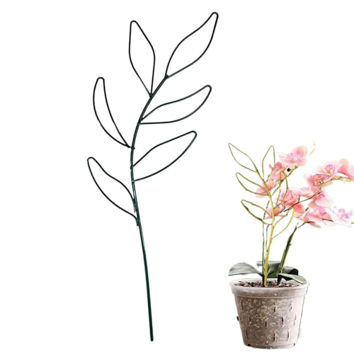 Anulely Zimmerpflanzen-Rankhilfe – Gartenstützpfahl Metall Pflanzenspalier | Rostfreier Zimmerpflanzenständer, Gartenbedarf für Efeu, Blumen, Gemüse Anulely Zimmerpflanzen-Rankhilfe – Gartenstützpfahl Metall Pflanzenspalier | Rostfreier Zimmerpflanzenständer, Gartenbedarf für Efeu, Blumen, Gemüse von Anulely