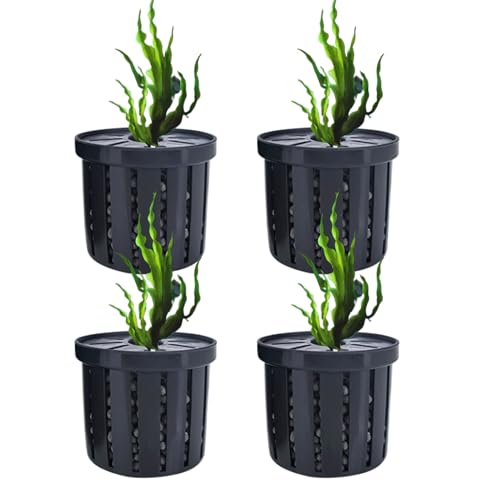 Aquarium-Pflanzenhalter, stabiler Pflanzkorb für Aquarien, Hydrokultur-Pflanzhalter, Wasserspiel-Dekoration für Wohnung, Hotel, Vermietung, Restaurant, Schlafsaal, Geschäfte Aquarium-Pflanzenhalter, stabiler Pflanzkorb für Aquarien, Hydrokultur-Pflanzhalter, Wasserspiel-Dekoration für Wohnung, Hotel, Vermietung, Restaurant, Schlafsaal, Geschäfte von Anulely