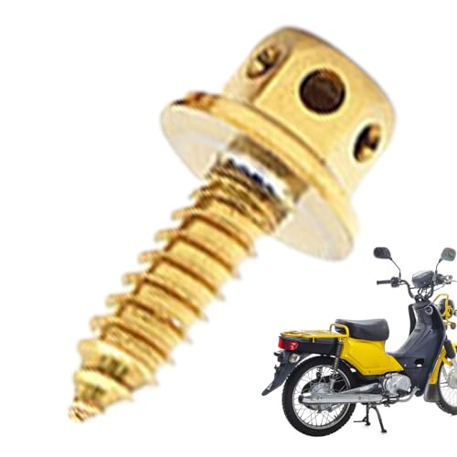 Motorradschrauben, modifizierte selbstschneidende Metallschrauben für Trockenbau und Metall, M5 15 Titanschrauben, hohl sechseckig, selbstbohrend, Autoreparatur, Motorrad Motorradschrauben, modifizierte selbstschneidende Metallschrauben für Trockenbau und Metall, M5 15 Titanschrauben, hohl sechseckig, selbstbohrend, Autoreparatur, Motorrad von Anulely